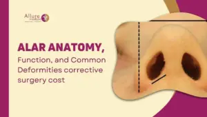 Alar Anatomy, Function, and Common Deformities corrective surgery cost
