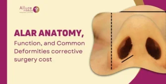 Alar Anatomy, Function, and Common Deformities corrective surgery cost