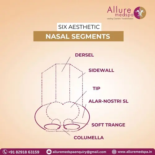 Six aesthetic nasal segments